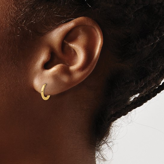 14k Yellow Small Hoop Earrings