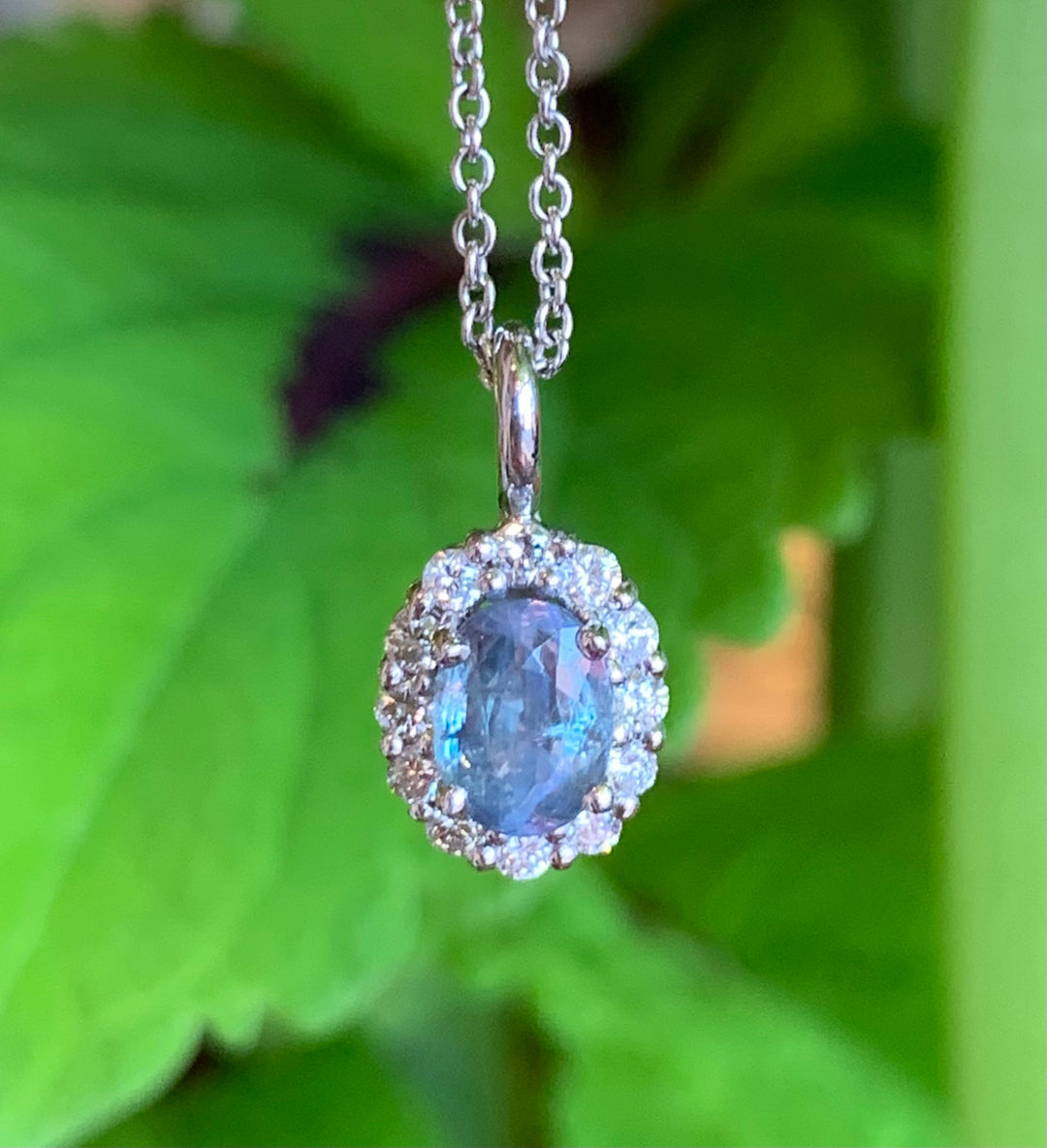 14k White Gold Alexandrite halo Pendant