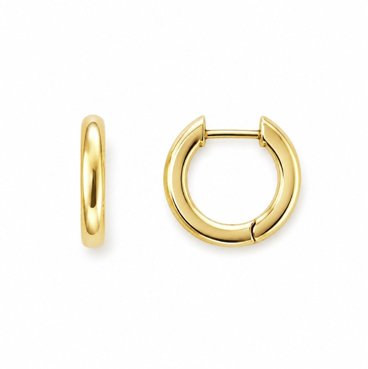 14k Yellow Small Hoop Earrings