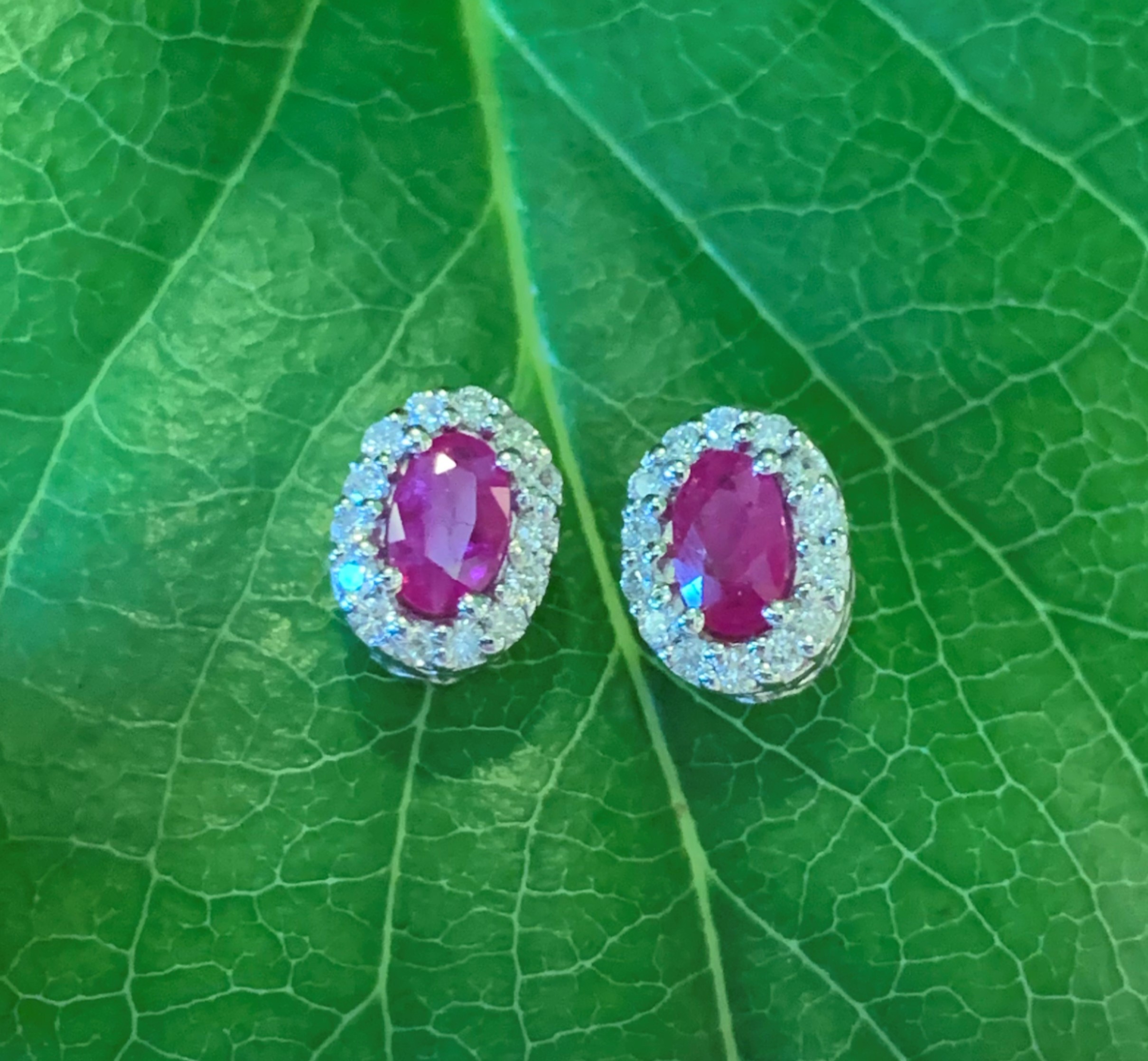 GOG Collection Earrings DM-ER4131 GOG Collection Earrings DM-ER4131
