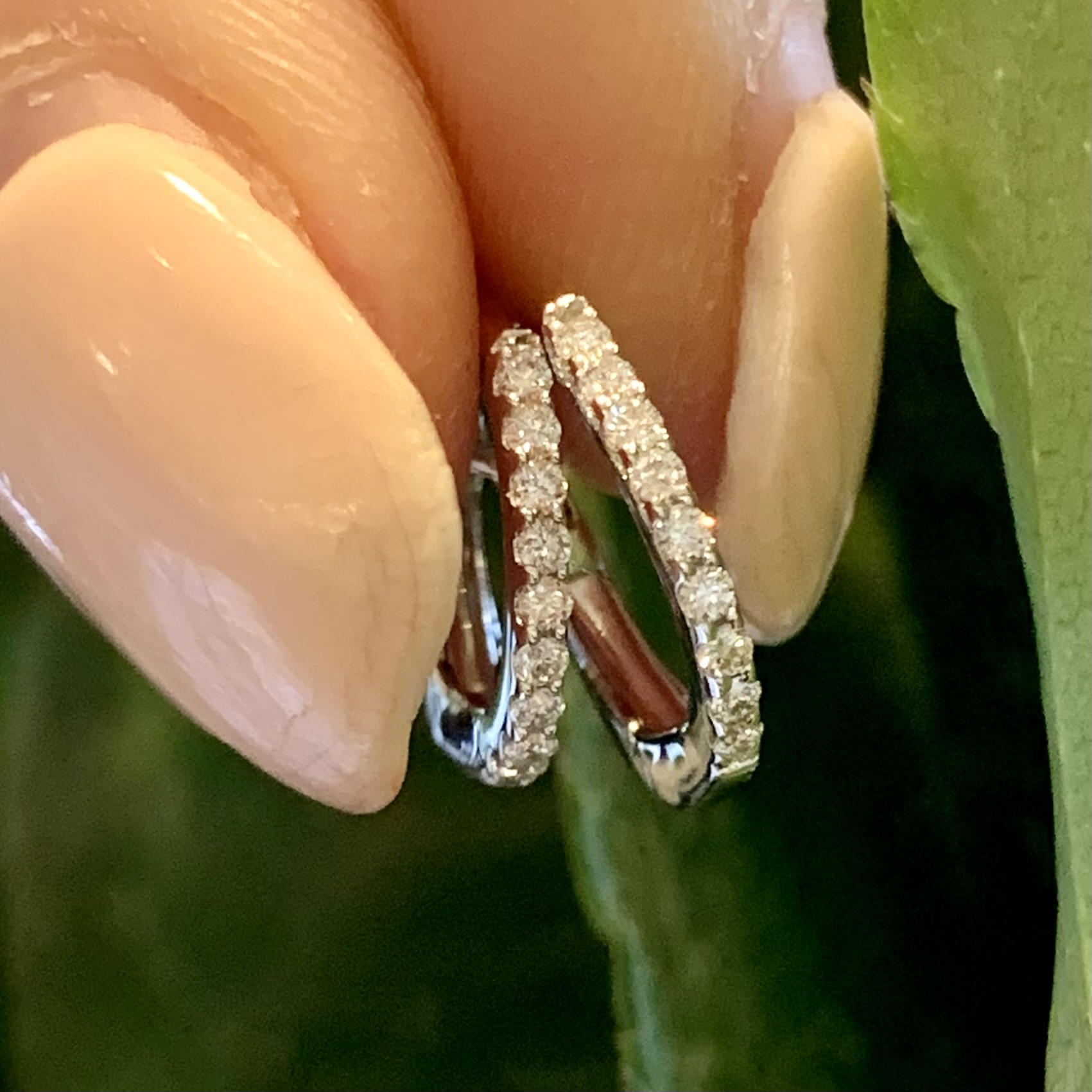 GOG Collection  Earrings GBC-24307852