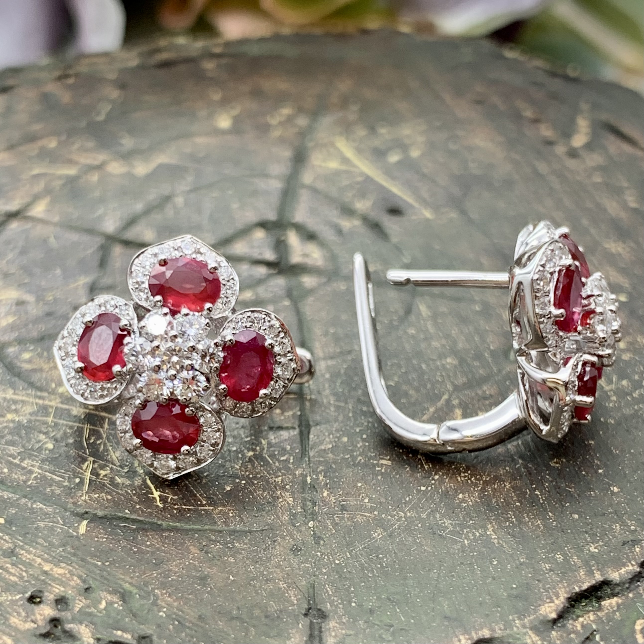 GOG Collection  Earrings GBC-24300998
