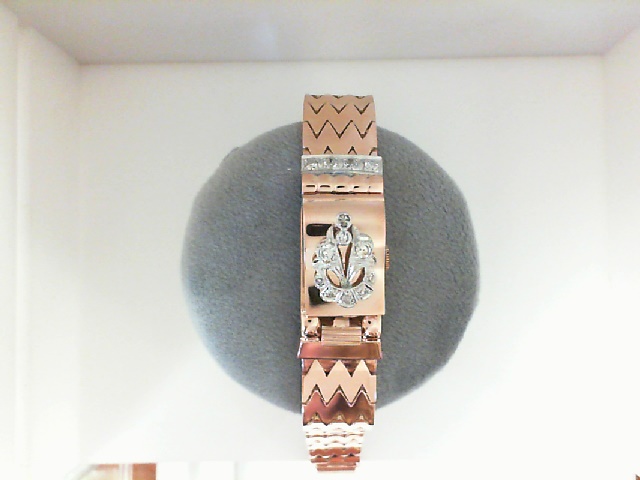 GOG Collection  Bracelet GOG-36DWTRG
