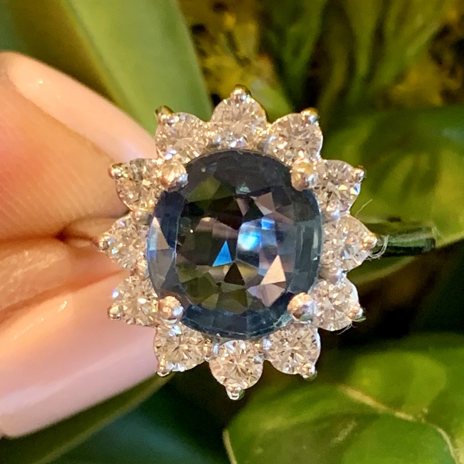 GOG Collection  Ring GOG-2.42SAPPHIRE