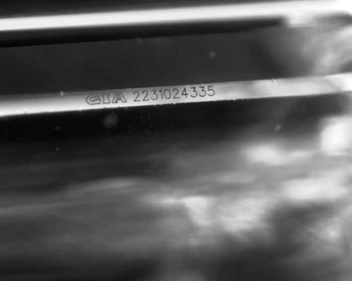 4700897 side view 4700897 side view